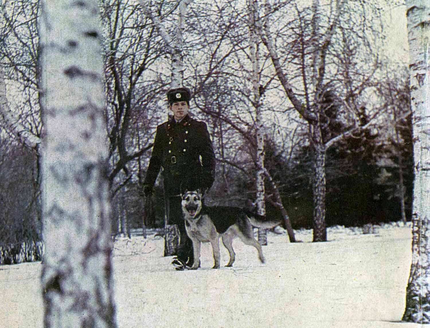 pretich.com/25/1983-ussr-pilucia-mart-28-05-2025-006.jpg