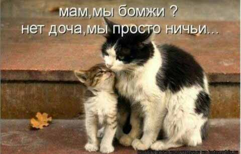 pretich.com/forum/attachments/yih-muimfx8.jpg
