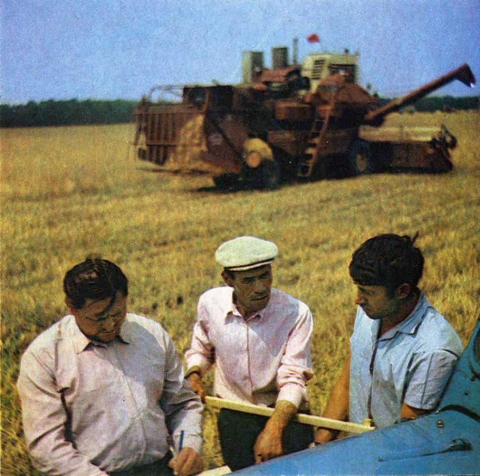 1982 год. Уборка хлеба