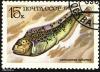 Click to view 5_marka_ussr_05_t1.jpg