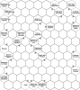 ex_ghfhg_u67567_uyt67_96_t1.png