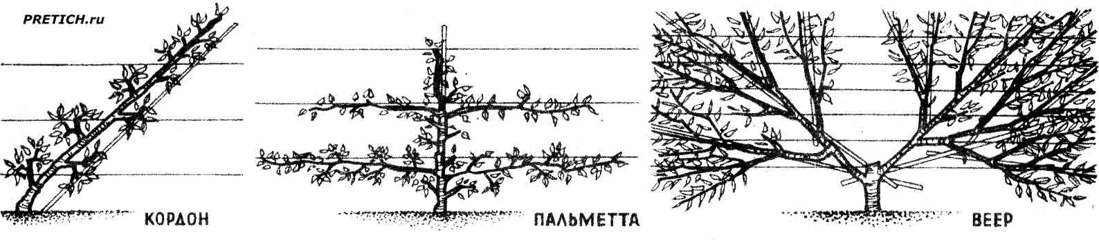 иксусственные виды крон, для ограды, стен иксусственные виды крон, для ограды, стен и прочее